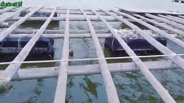 Вдвоем на нанятой лодке перебирали плоты в Туанчау