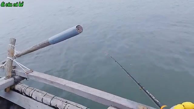 Вдвоем на нанятой лодке перебирали плоты в Туанчау