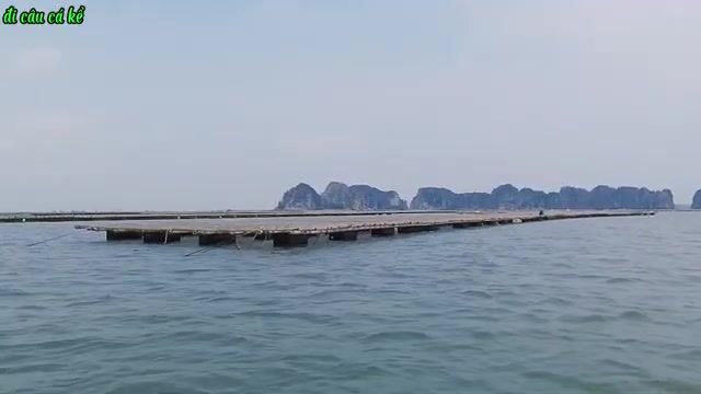 Вдвоем на нанятой лодке перебирали плоты в Туанчау
