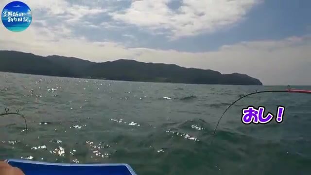 Два часа без кальмара и возвращение к рыбе-сабле в Осакском заливе