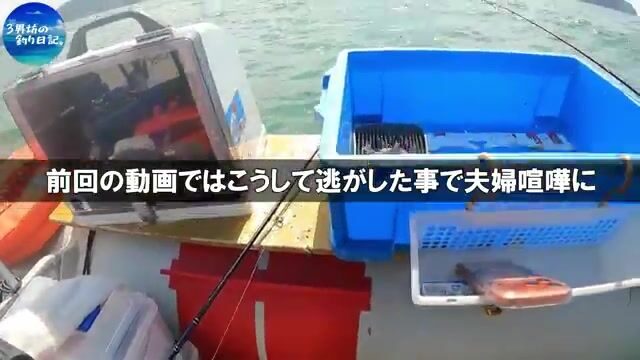 Два часа без кальмара и возвращение к рыбе-сабле в Осакском заливе