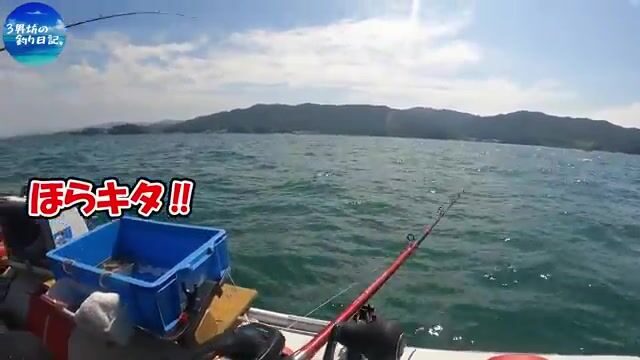 Два часа без кальмара и возвращение к рыбе-сабле в Осакском заливе