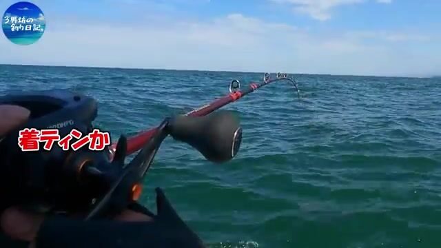 Два часа без кальмара и возвращение к рыбе-сабле в Осакском заливе