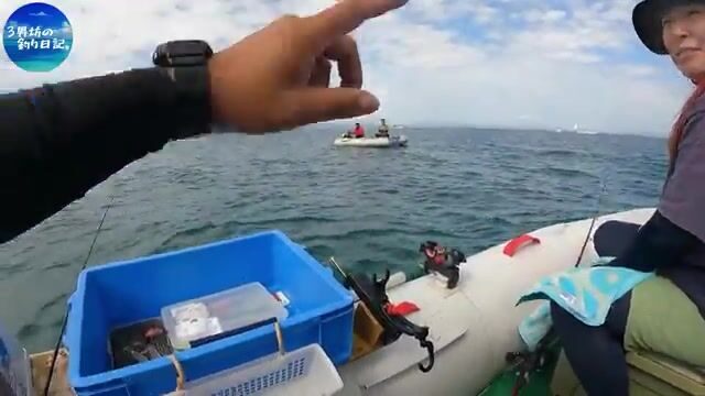 Два часа без кальмара и возвращение к рыбе-сабле в Осакском заливе