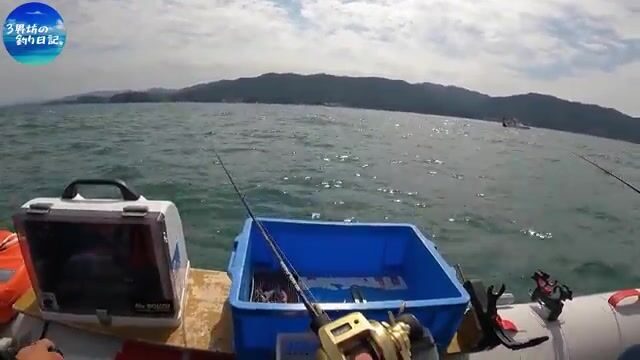Два часа без кальмара и возвращение к рыбе-сабле в Осакском заливе