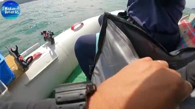 Два часа без кальмара и возвращение к рыбе-сабле в Осакском заливе