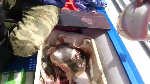 Июньская рыбалка в бухте Шамора у Владивостока