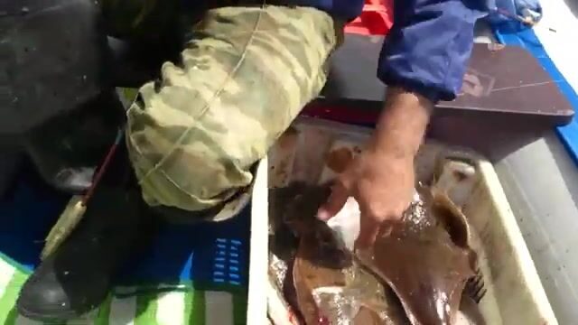 Июньская рыбалка в бухте Шамора у Владивостока