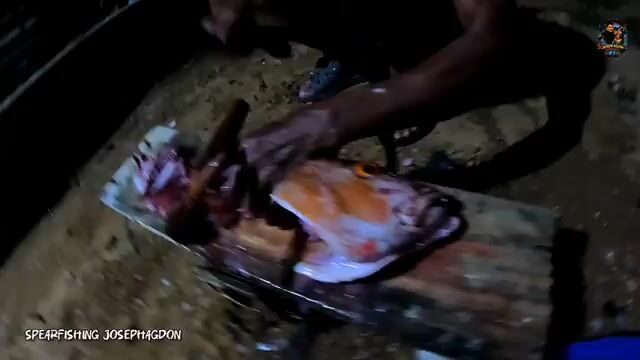 Утренний выстрел по красному люциану у берега Думарана на Палаване