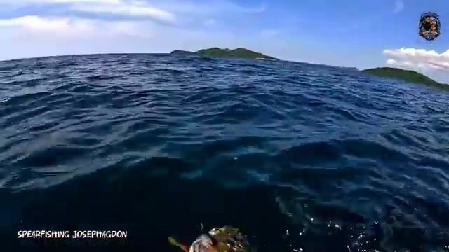 Утренний выстрел по красному люциану у берега Думарана на Палаване