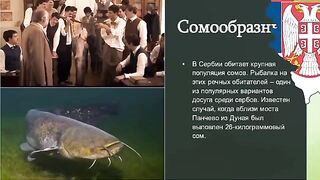 Сербия: разговор о крупном соме и подготовка речного выхода