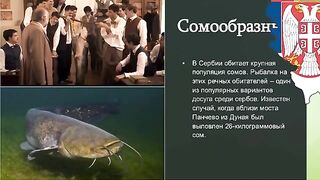 Сербия: разговор о крупном соме и подготовка речного выхода
