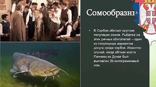Сербия: разговор о крупном соме и подготовка речного выхода